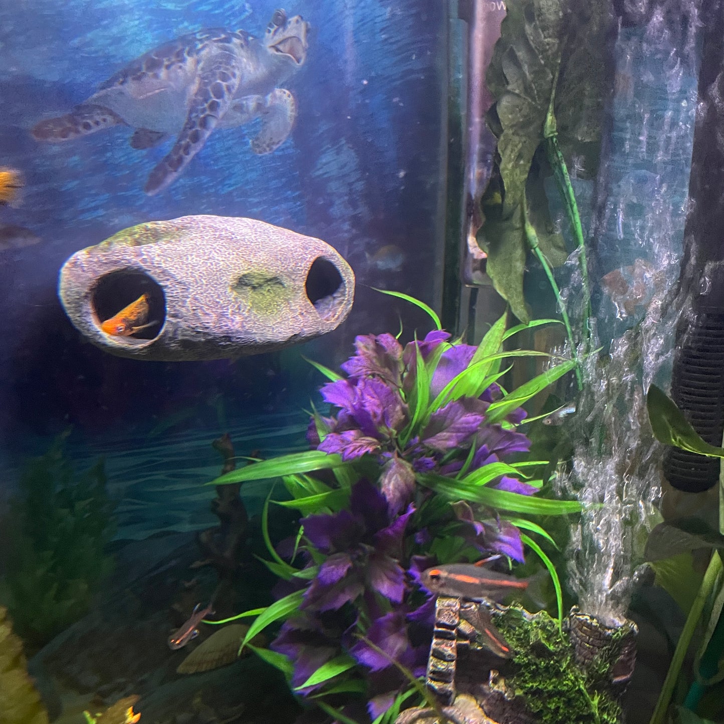 Rock Cave Magnetic Aquarium Ornament | OrnaMounts™