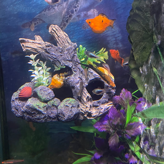 Driftwood Outcropping Magnetic Aquarium Ornament | OrnaMounts™