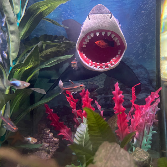 Great White Shark Magnetic Aquarium Ornament | OrnaMounts™