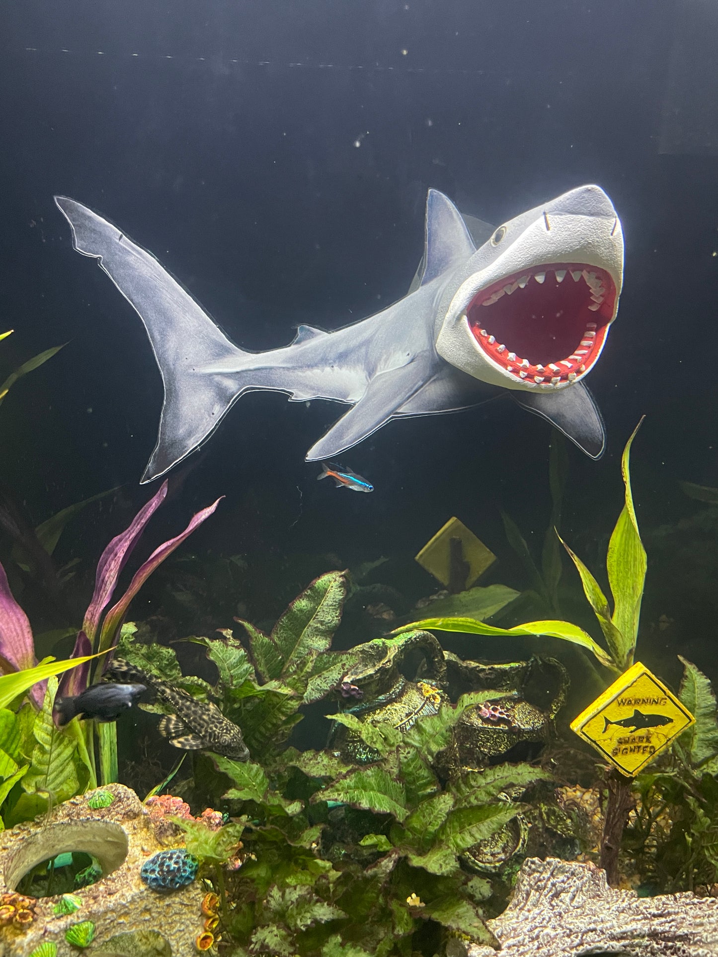 OrnaMounts® 3D Great White Shark Background Decal