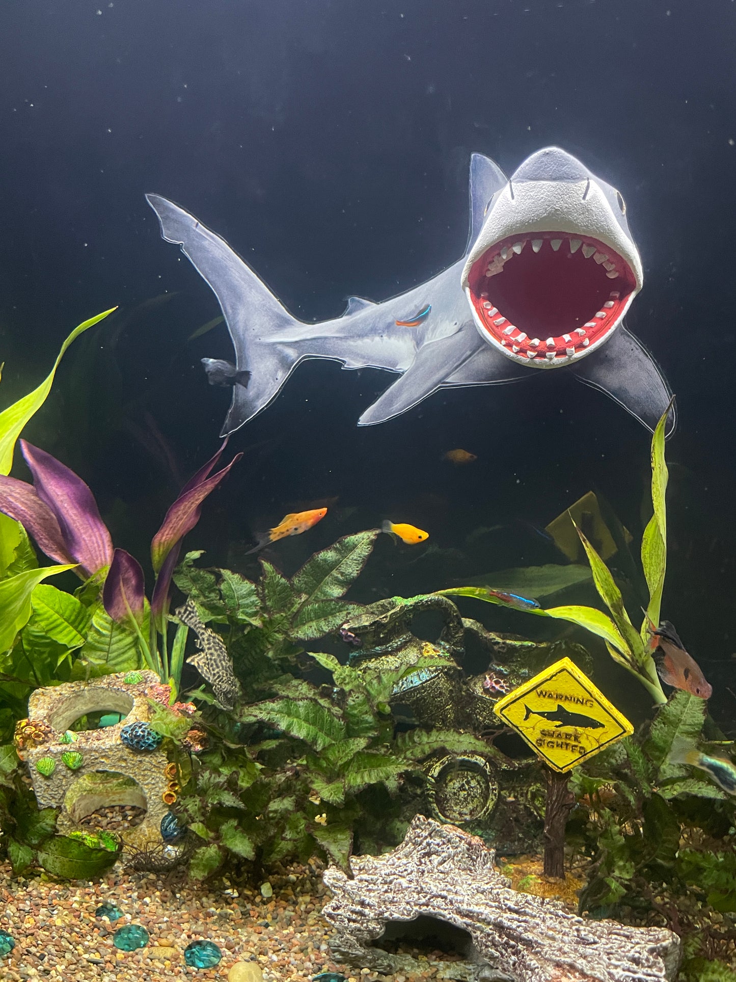 OrnaMounts® 3D Great White Shark Background Decal