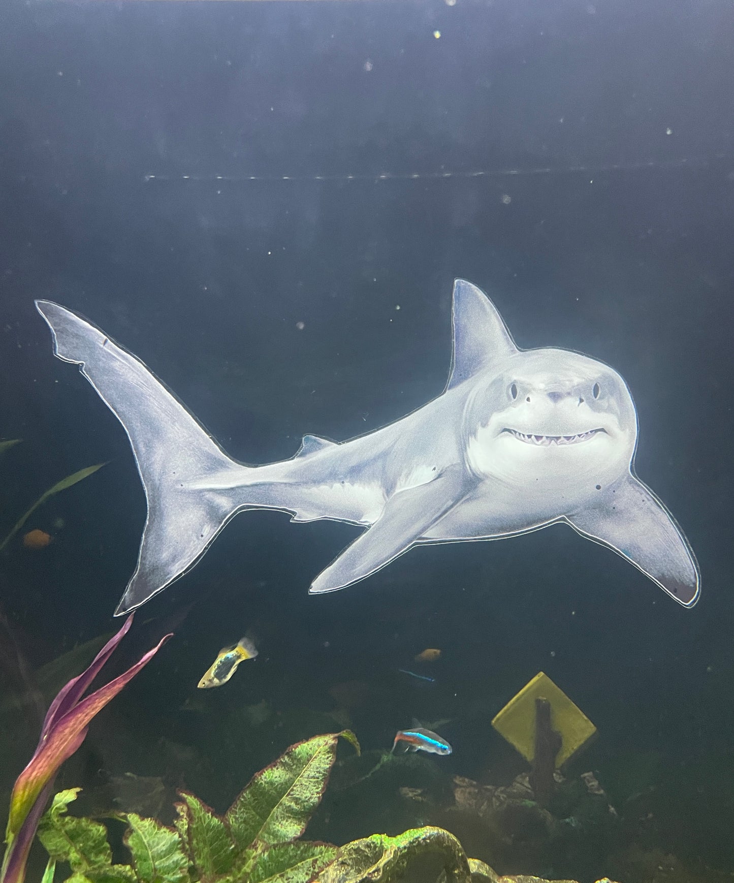 OrnaMounts® 3D Great White Shark Background Decal