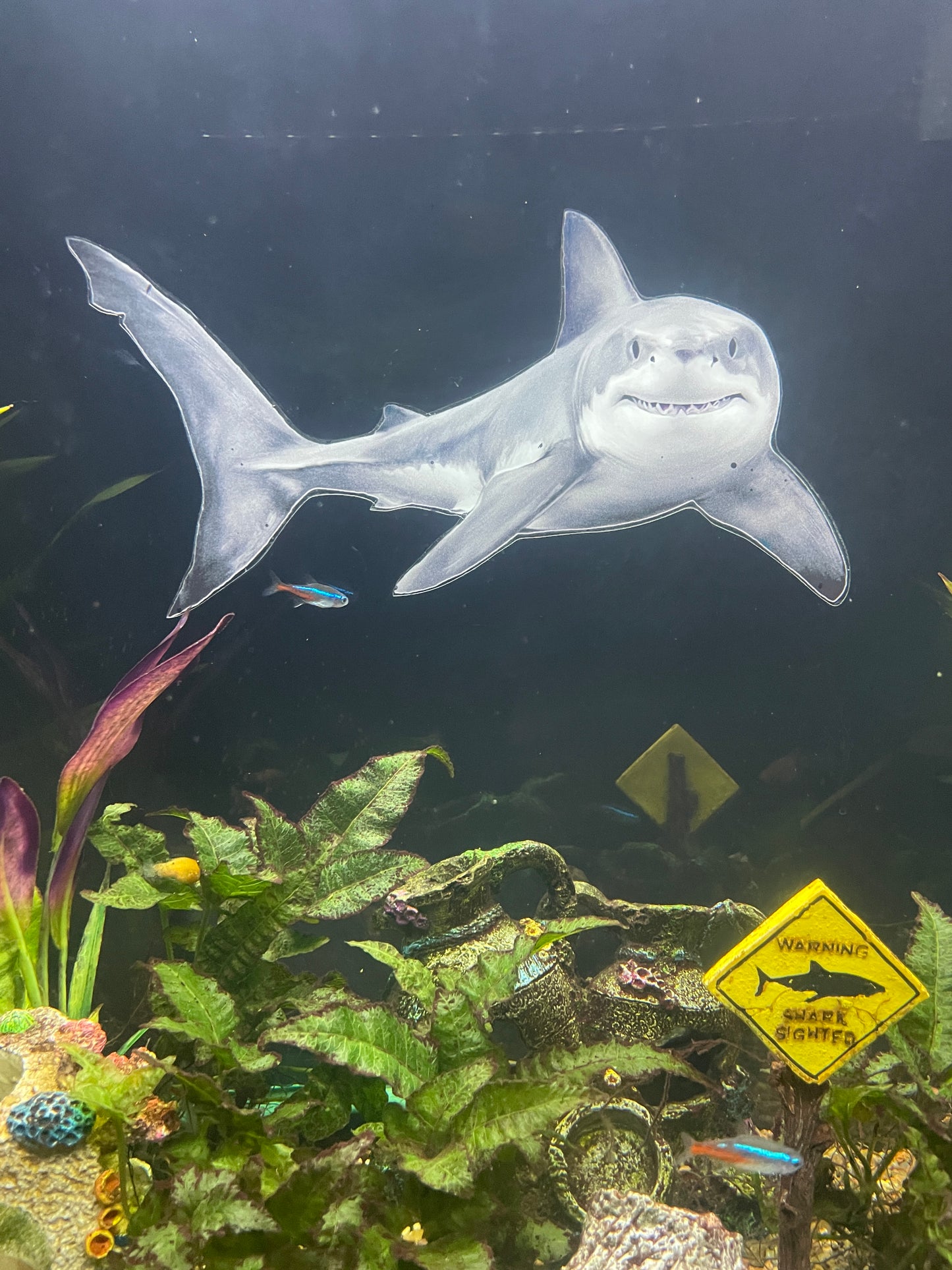 OrnaMounts® 3D Great White Shark Background Decal