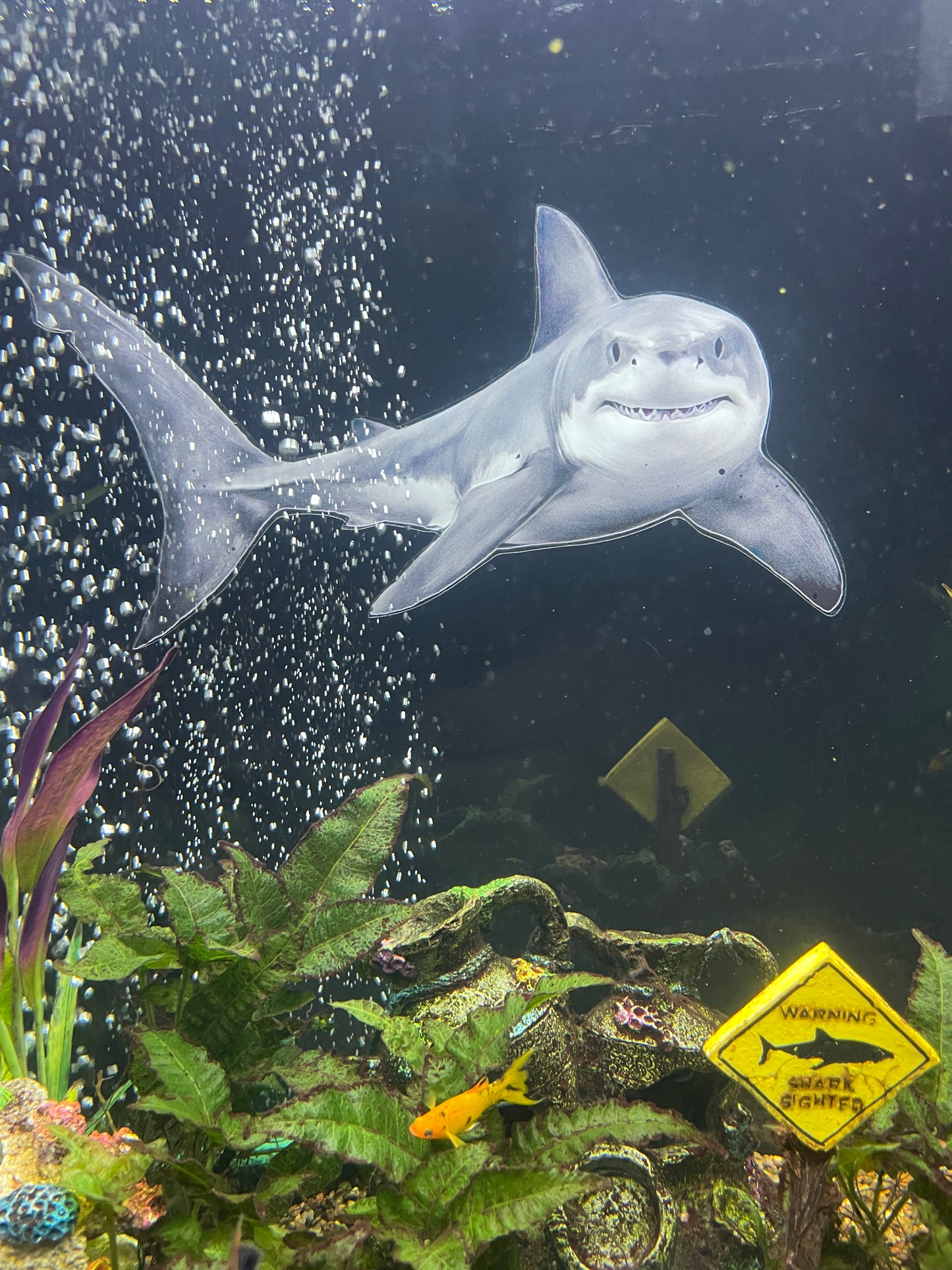OrnaMounts® 3D Great White Shark Background Decal