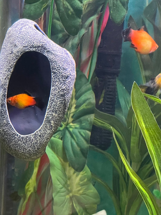 Rock Cave Magnetic Aquarium Ornament | OrnaMounts™